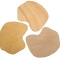 Golden Leaf 5 stuks per m2