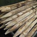 Kastanjehouten Palen Gepunt/Geschild 160 cm