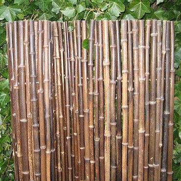 Bamboerolscherm Black 180x180 cm