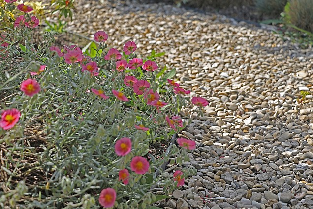 Castle Beige grind 10-20 mm (bb 1500 kg)