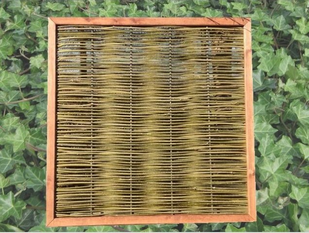Wilgenscherm Durable 180x180